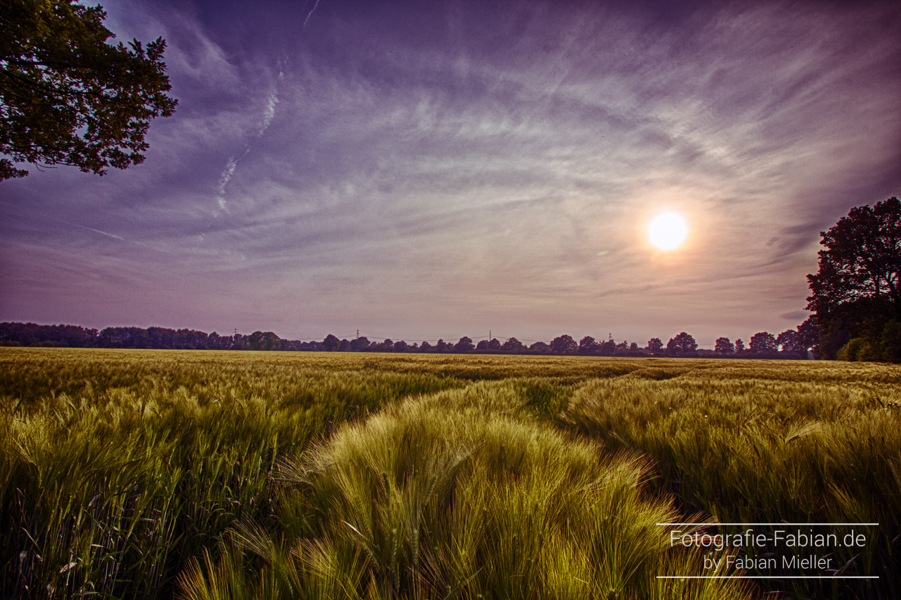 Stapelfeld Weizenfeld Fotografie Fabian